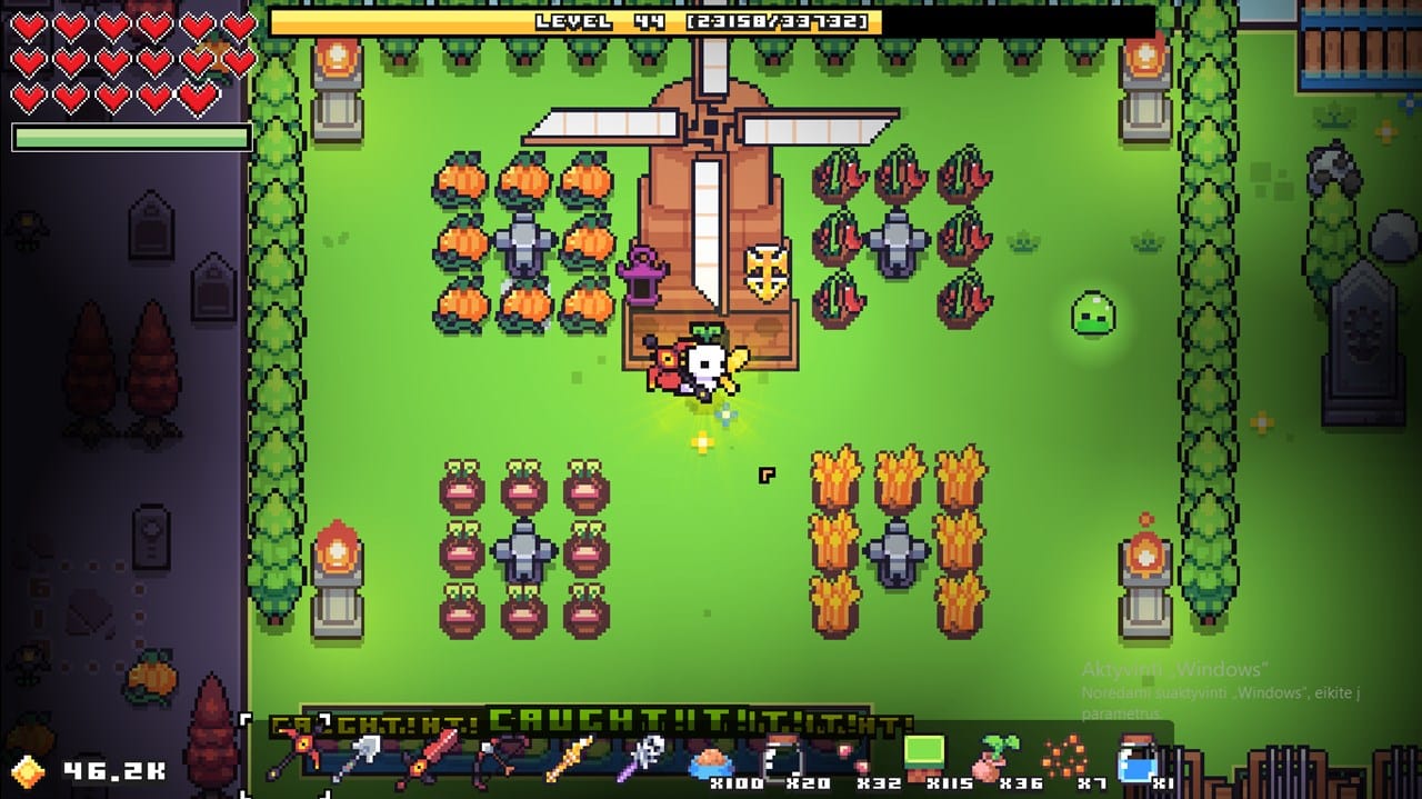 Forager (Switch) 5060146468213
