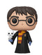 FUNKO POP! HARRY POTTER - HARRY POTTER (WITH HEDWIG) 889698119153