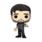 FUNKO POP ROCKS: ZAYN MALIK 889698614382