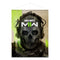 GAYA CALL OF DUTY MWII CANVAS POSTER (GHOST) 4020628627539