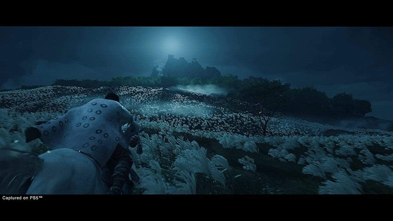 Ghost of Tsushima: Director’s Cut (PS5) 711719714194