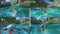 GO Vacation (Switch) 045496422462