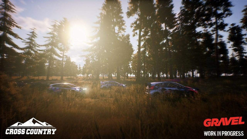 Gravel (PC) 8059617107017