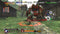 GUILTY GEAR 2 -OVERTURE- (PC) bb1d9610-37ca-4806-8529-f6ea4a4a3184