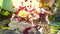 GUILTY GEAR -STRIVE-  Standard (Release Version) (PC) 9eafd8b8-11d0-44f8-9cae-7c83e7bcefbd