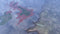 Hearts of Iron IV: Cadet Edition (NEW) (PC) 872eae10-35fa-4683-beb3-cf59776e9b9a