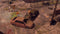 How to Survive 2 (PC) 589577e4-4a3b-4dbc-afef-300ac7f7ded6