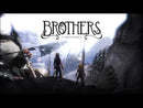 Brothers: A Tale of Two Sons (playstation 4)