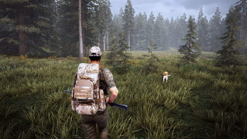 Hunting Simulator 2 (PS4) 3665962001204