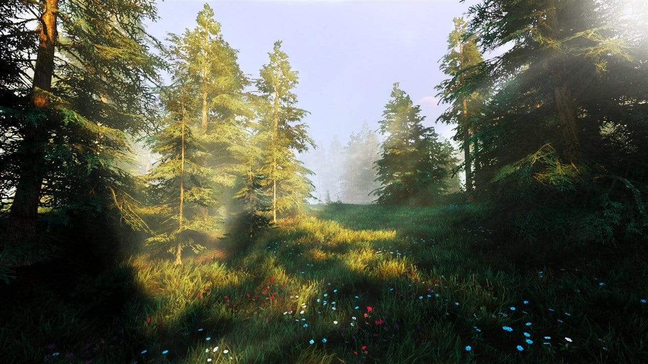 Hunting Simulator 2 (Xbox Series X) 3665962006094