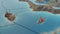 Imperator: Rome (PC) 4020628707774