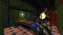 Ion Fury (PC) 5055957702359