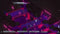 John Wick Hex 03f1157a-f85a-4e9a-9808-e5b73ad713ab