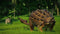 Jurassic World Evolution: Claire's Sanctuary (PC) 921d906f-4237-4f1f-8880-c833eb08cbbe