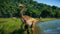 Jurassic World Evolution (PS4) 5056208801517