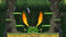 Kaze and the Wild Masks (PS4) 8720153839990