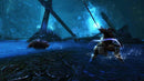 Kingdoms of Amalur Re-Reckoning -Collectors Edition (PC) 9120080075963