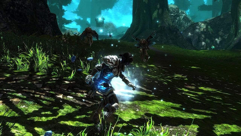 Kingdoms of Amalur Re-Reckoning -Collectors Edition (PC) 9120080075963