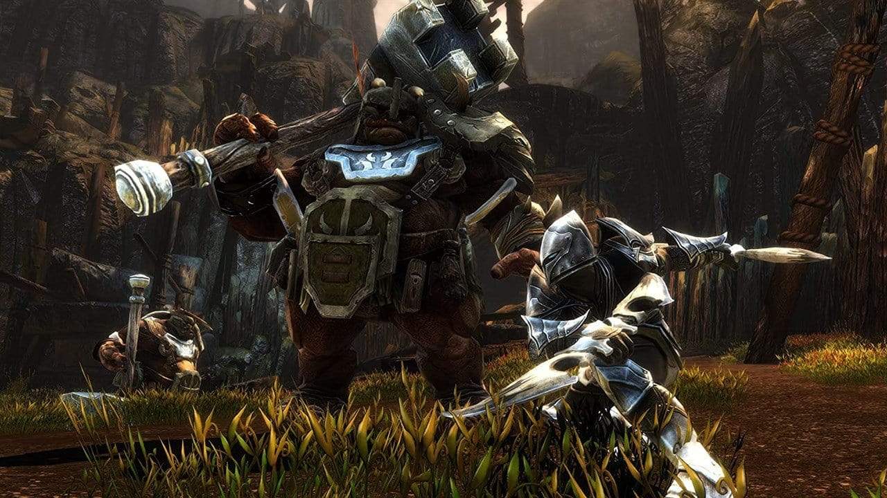 Kingdoms of Amalur Re-Reckoning -Collectors Edition (PS4) 9120080076038
