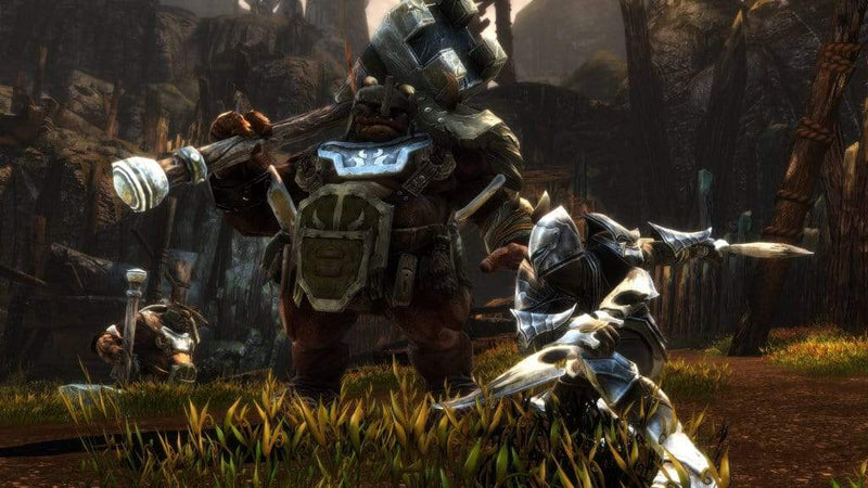 Kingdoms of Amalur Re-Reckoning (Nintendo Switch) 9120080076427