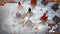 Lornsword Winter Chronicle (PC) 7b1b7682-8de4-4a58-94d0-96f4d566412d