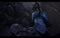 Lost Planet 3 (PC) 10632b7f-3f0d-41bd-8c6b-1b4f502d8a37