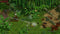 Magicka Collection (PC) c76deb6e-a844-49a6-9d71-5acc2a083c67