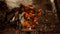 MechWarrior 5: Mercenaries 92e5d50d-f421-4001-b8fd-895a110c2ffe