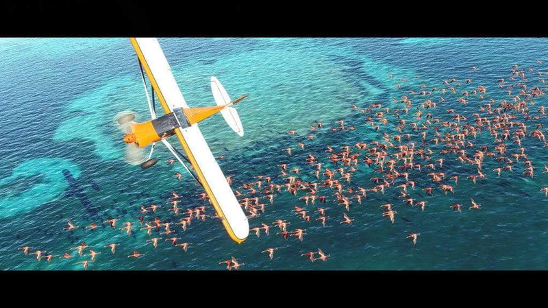Microsoft Flight Simulator 2020 - Premium Deluxe (PC) 4015918149525