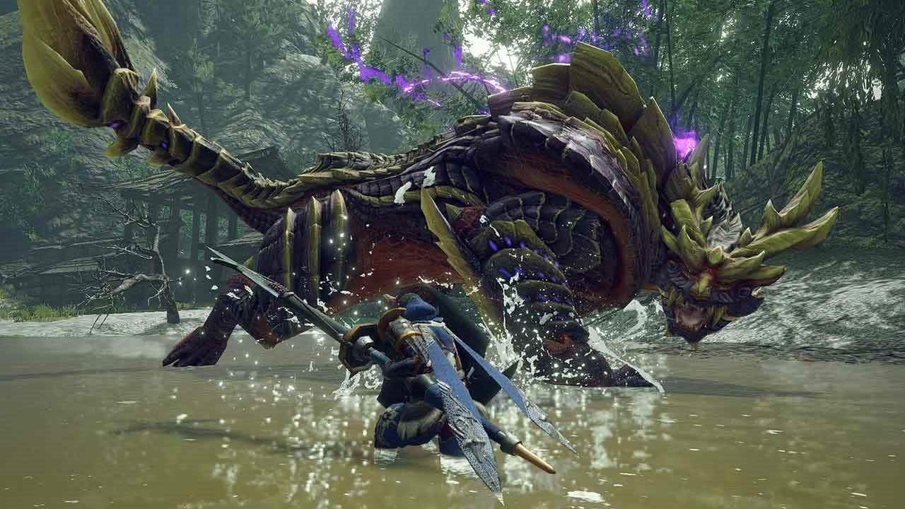 Monster Hunter Rise - Collectors Edition (Nintendo Switch) 045496427252