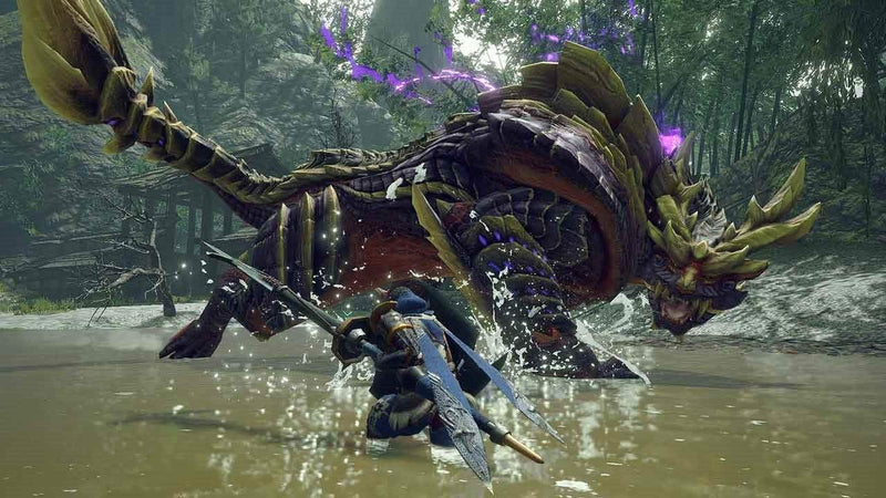 Monster Hunter Rise - Collectors Edition (Nintendo Switch) 045496427252
