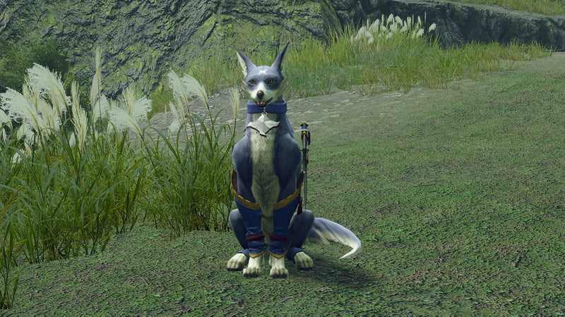 MONSTER HUNTER RISE Deluxe Kit (PC) df048802-e206-4887-9be6-a925012765c0