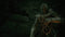 Mortal Shell (PS4) 5055957702793