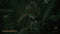 Mortal Shell (PS4) 5055957702793