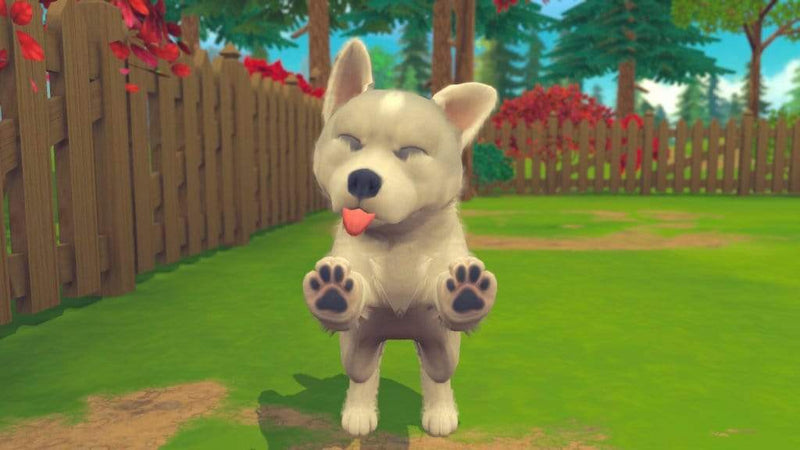 My Universe: Puppies & Kitens (Nintendo Switch) 3760156488837