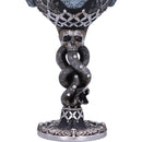 NEMESIS NOW HARRY POTTER DEATH EATER COLLECTIBLE GOBLET KELIH 801269143183