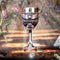 NEMESIS NOW LORD OF THE RINGS ARAGORN GOBLET 19.5CM KELIH 801269146078