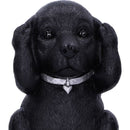 NEMESIS NOW THREE WISE LABRADORS 8.5CM KIPCI 801269146108