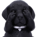 NEMESIS NOW THREE WISE LABRADORS 8.5CM KIPCI 801269146108