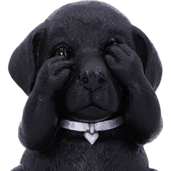 NEMESIS NOW THREE WISE LABRADORS 8.5CM KIPCI 801269146108