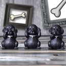 NEMESIS NOW THREE WISE LABRADORS 8.5CM KIPCI 801269146108