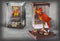 NOBLE COLLECTION - HARRY POTTER - MAGICAL CREATURES - FAWKES KIPEC 849421003425