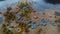Northgard - Lyngbakr, Clan of the Kraken (PC) f78d3f10-d280-4484-bd39-97c6e8d4b46a