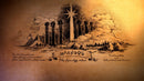 One Piece: Odyssey - Collectors Edition (PC) 3391892024791