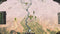 ORIENTAL EMPIRES: GENGHIS (PC) 20c57a81-d3fa-4c2d-b074-07af25065eac