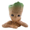 PALADONE GROOT PEN PLANT POT HOME LONČEK ZA ROŽE 5055964786137