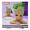 PALADONE GROOT PEN PLANT POT HOME LONČEK ZA ROŽE 5055964786137