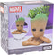 PALADONE GROOT PEN PLANT POT HOME LONČEK ZA ROŽE 5055964786137