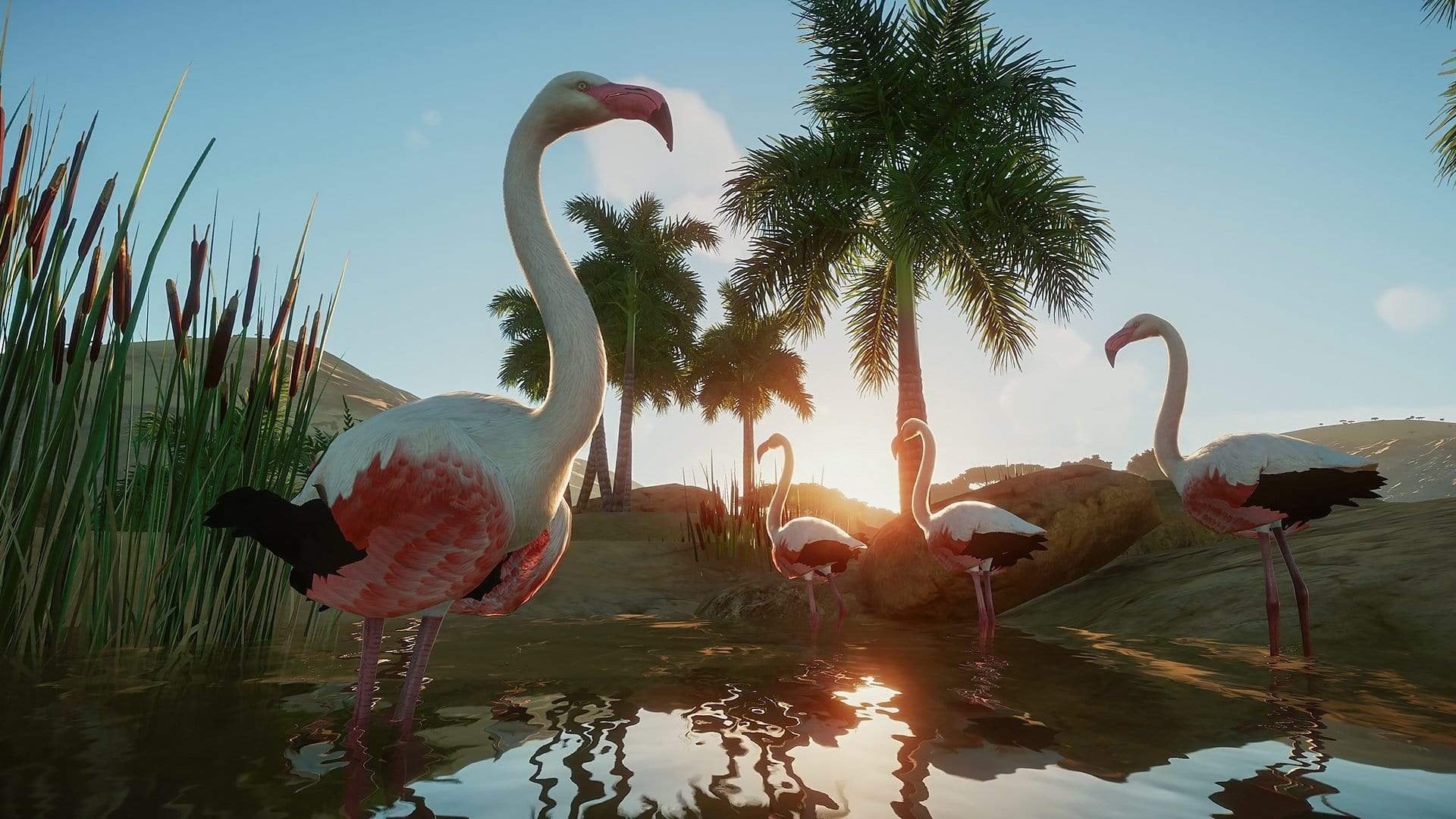 Planet Zoo Deluxe Edition (PC) b752f756-79a7-4583-8760-3f6655f9551f