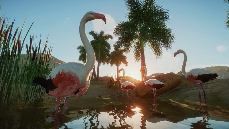 Planet Zoo (PC) af3378e1-31b3-4662-b58b-c8245eea98f3